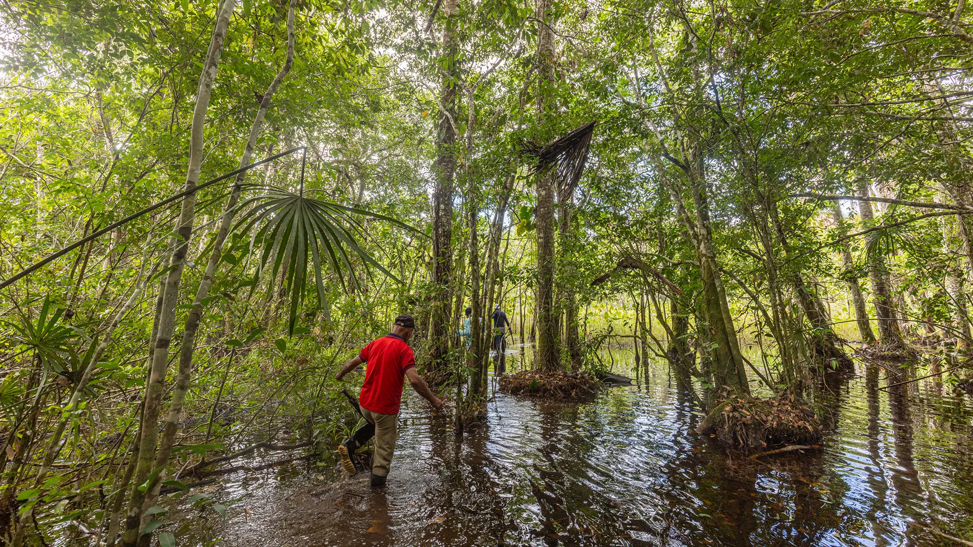 El Instituto en Yaguara, Amazonia 3